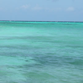 The Sun of Mafia Island